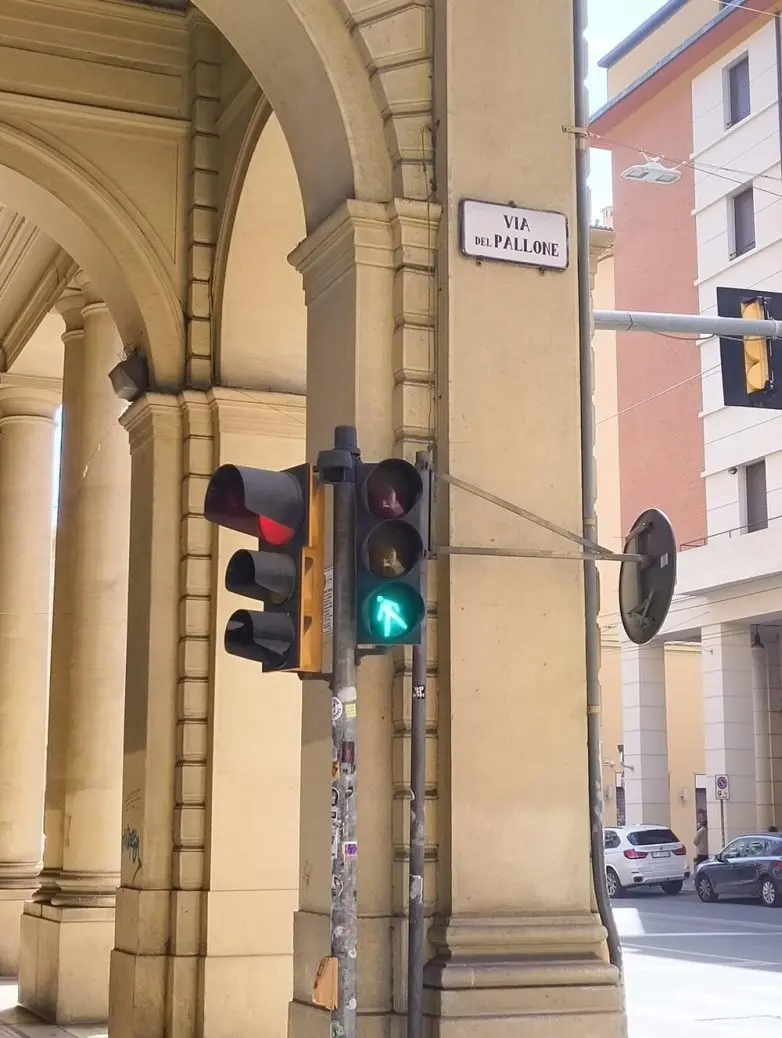 Забавные моменты из жизни, которые попали в объектив