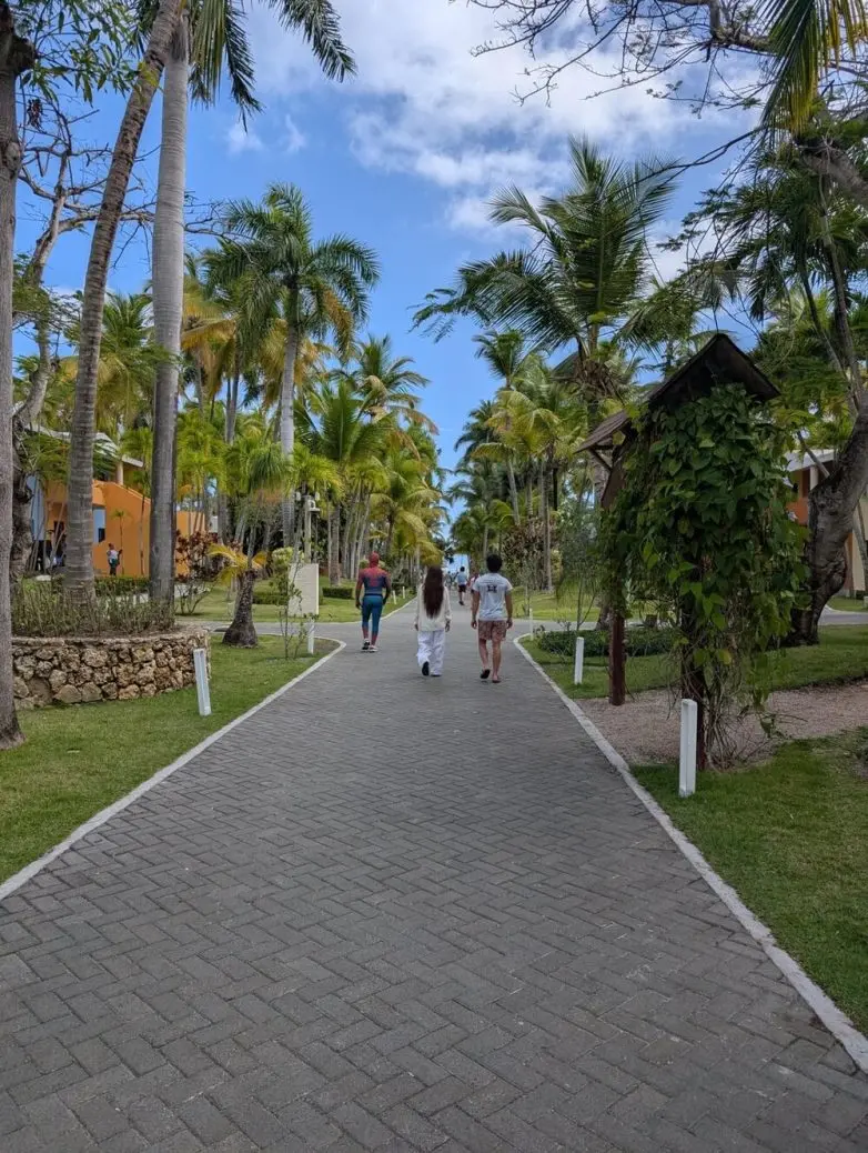 Забавные моменты из жизни, которые попали в объектив