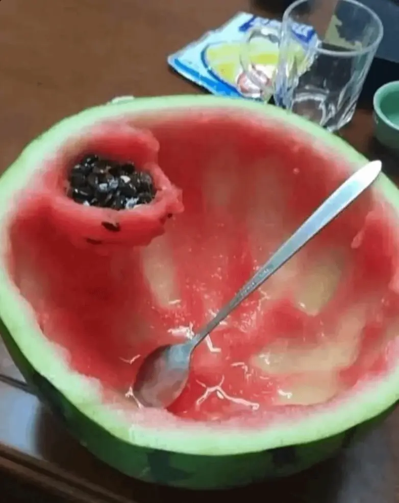 Забавные моменты из жизни, которые попали в объектив