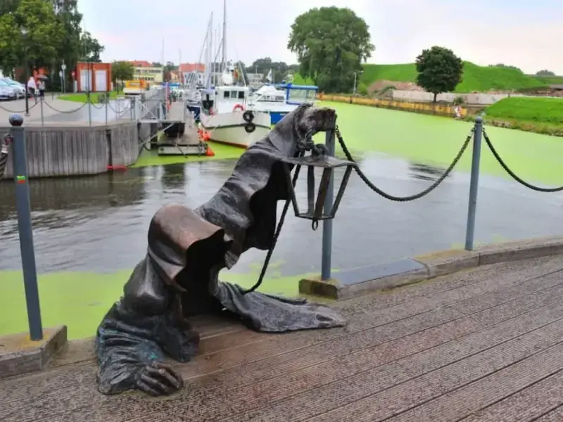 Забавные моменты из жизни, которые попали в объектив