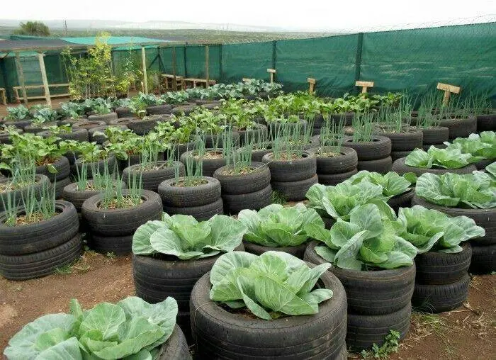 Скрытая угроза: почему старые шины на даче опаснее, чем кажется