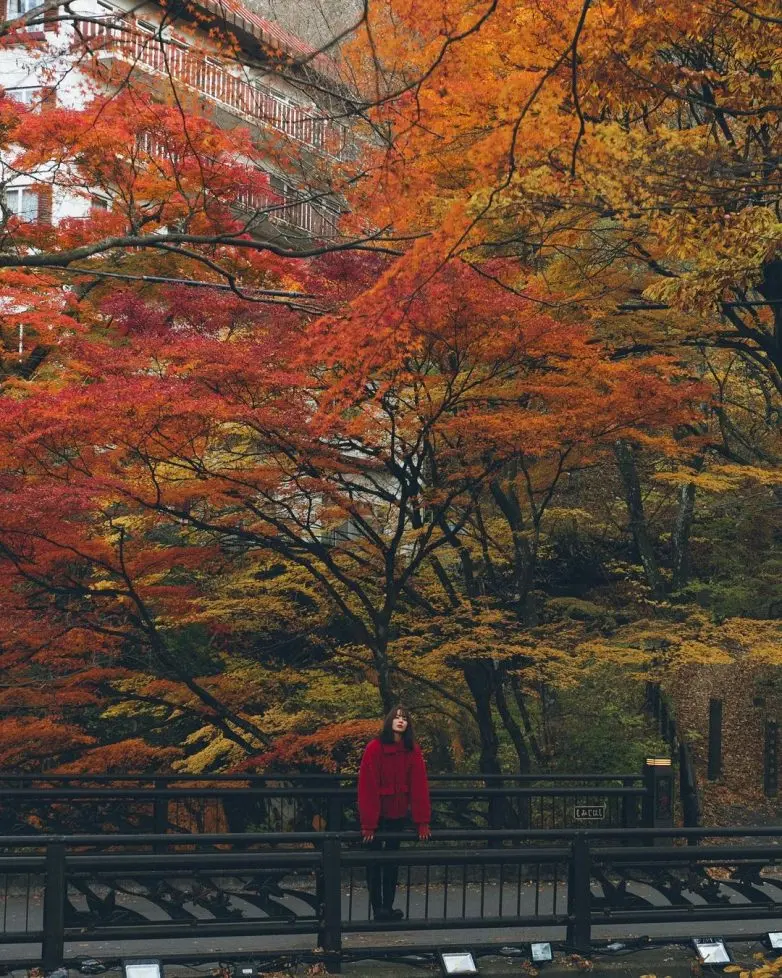 Волшебные улицы Японии: городская фотография Юмы Ямашиты