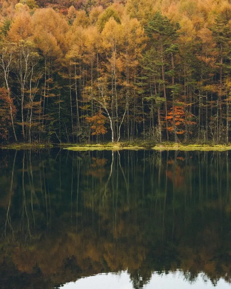 Волшебные улицы Японии: городская фотография Юмы Ямашиты