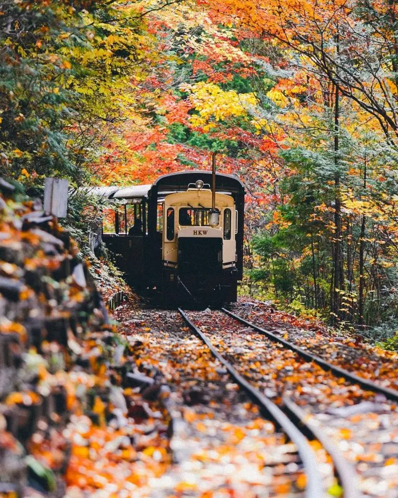 Волшебные улицы Японии: городская фотография Юмы Ямашиты