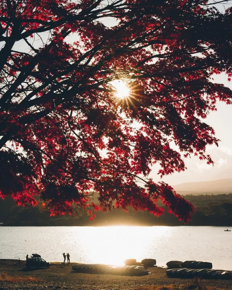 Волшебные улицы Японии: городская фотография Юмы Ямашиты