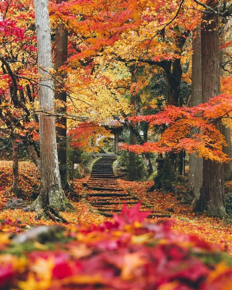 Волшебные улицы Японии: городская фотография Юмы Ямашиты