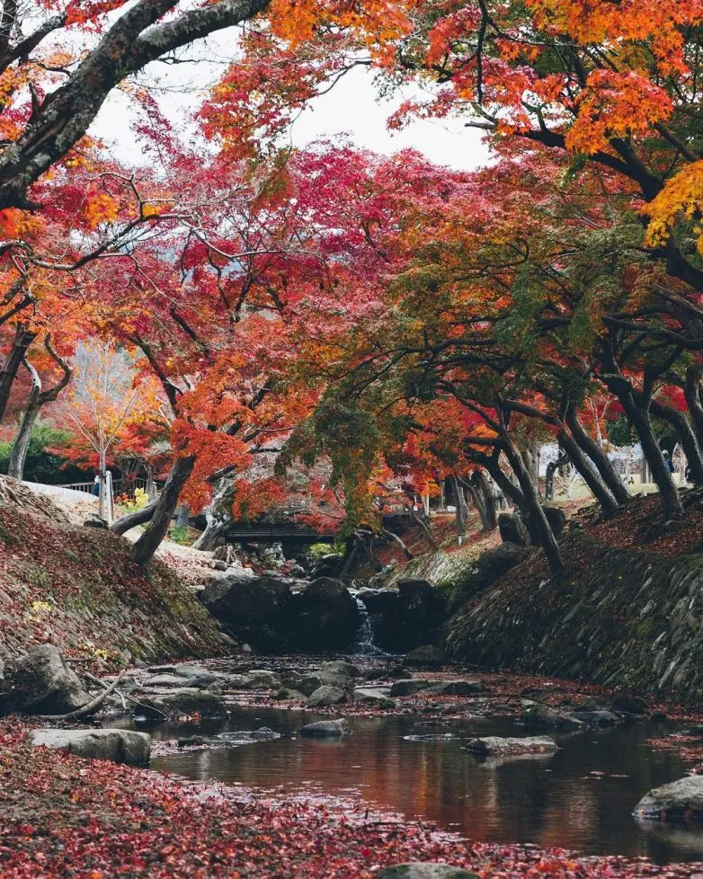 Волшебные улицы Японии: городская фотография Юмы Ямашиты