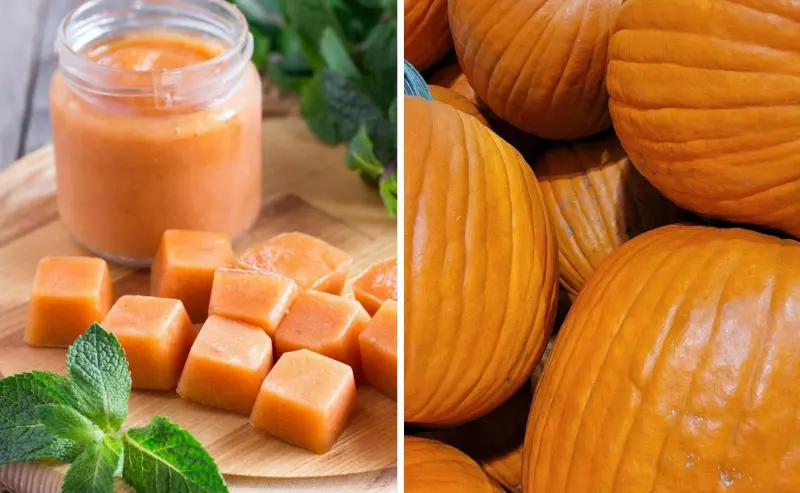 Секреты хранения детского пюре: как не навредить малышу