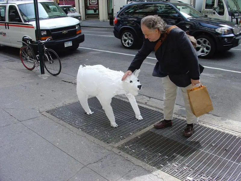 Воздушный медведь: экологическое искусство в вентиляции метро