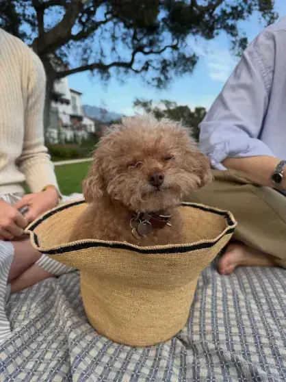 Кэти Перри показала романтические фото с Джастином Трюдо