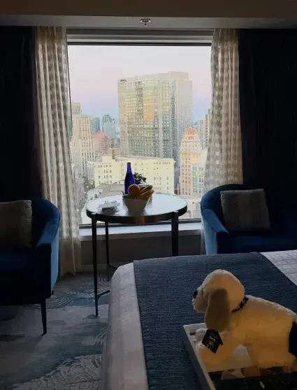 Шокирующие контрасты Сан-Франциско: Оксана Лаврентьева рассказала о поездке