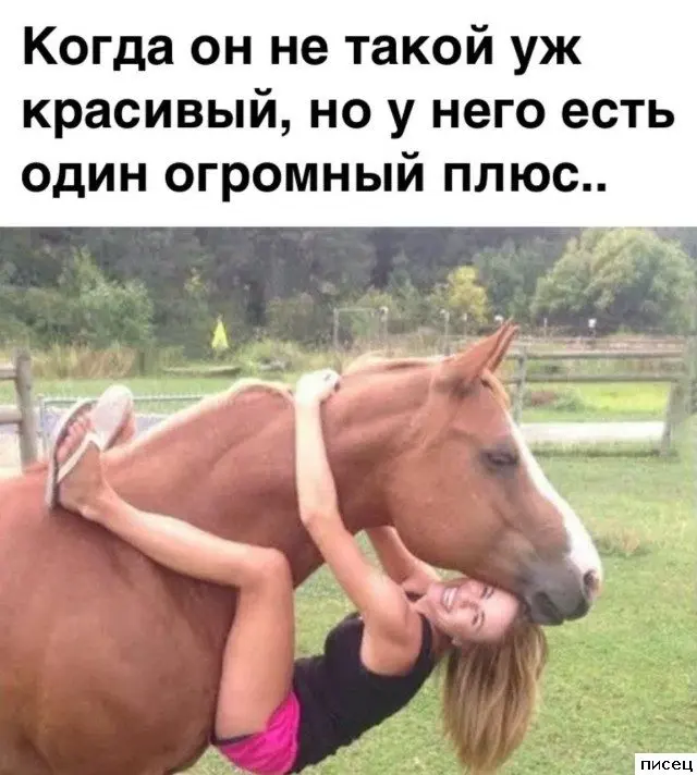 Смешные приколы Писца на тему «Когда»