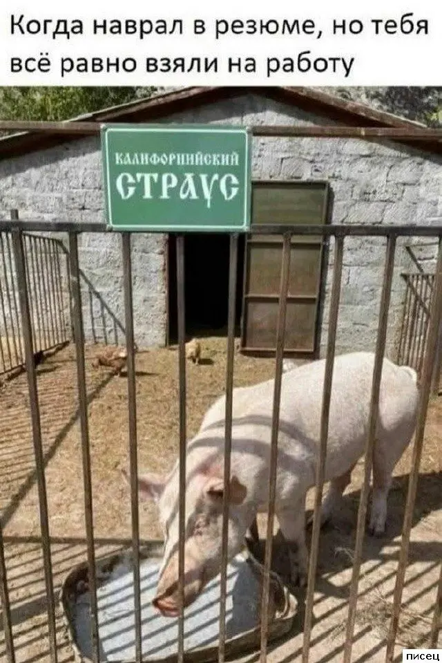 Смешные фото с работы: коллеги не скучают