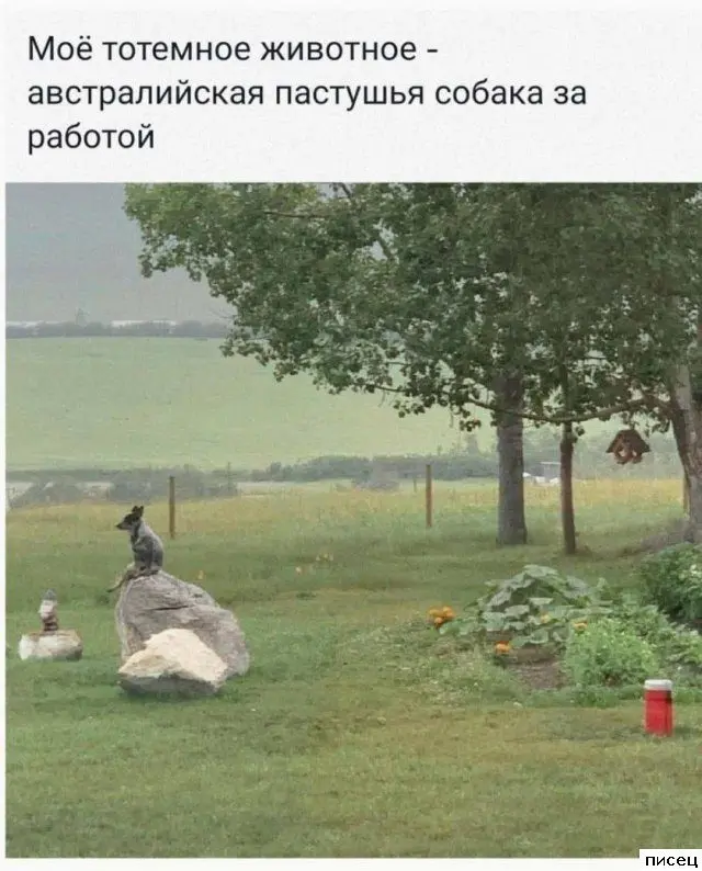 Смешные фото с работы: коллеги не скучают