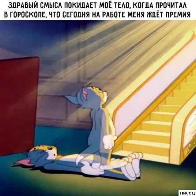 Смешные фото с работы: коллеги не скучают