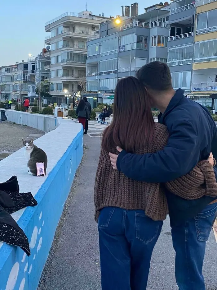 Коты на работе: 16 пушистых сотрудников, которые трудятся не покладая лап