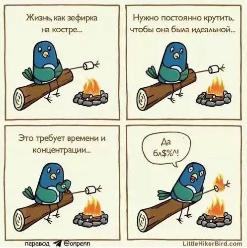 Калейдоскоп чувств: когда каждая фотография — отдельная история