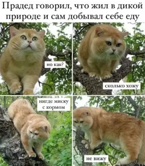 Калейдоскоп чувств: когда каждая фотография — отдельная история