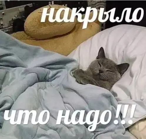 Калейдоскоп чувств: когда каждая фотография — отдельная история