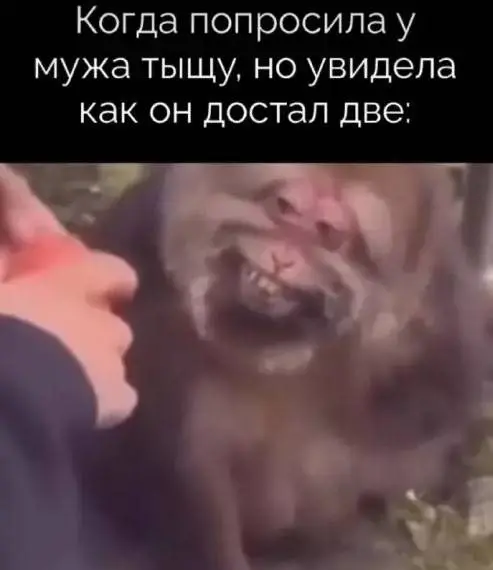 Калейдоскоп чувств: когда каждая фотография — отдельная история