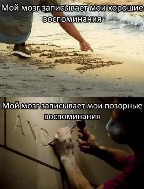 Калейдоскоп чувств: когда каждая фотография — отдельная история