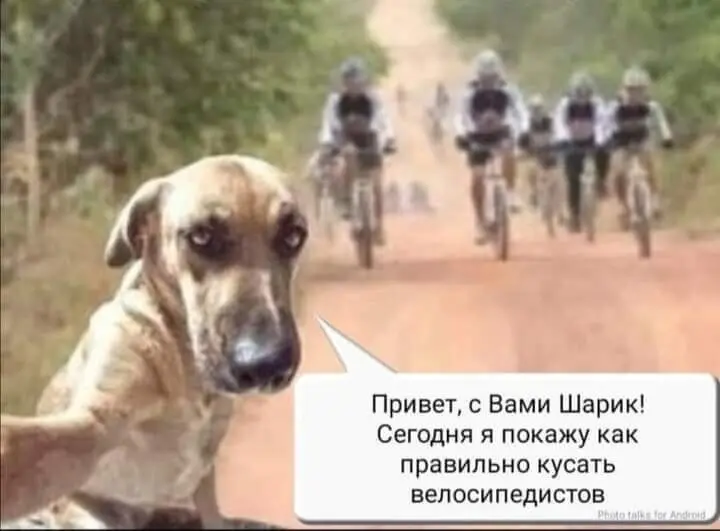 40 смешных картинок для отличного настроения