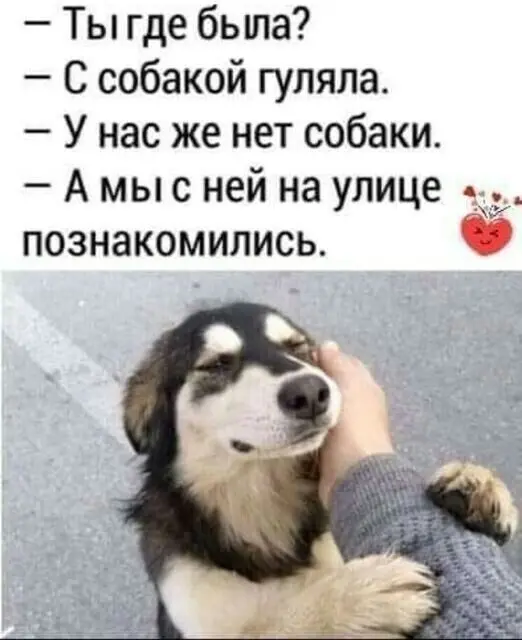 40 смешных картинок для отличного настроения