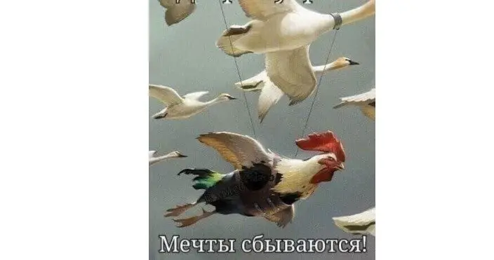 40 смешных картинок для отличного настроения