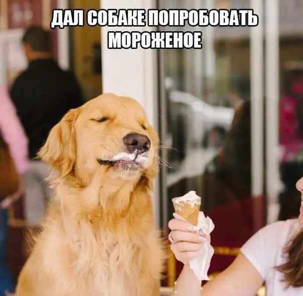 40 смешных картинок для отличного настроения