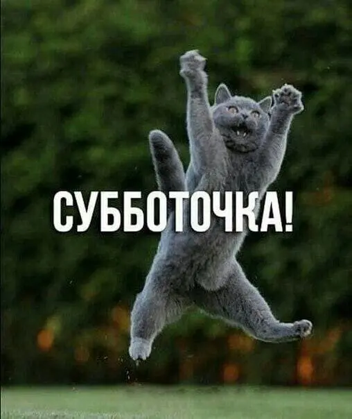 40 смешных картинок для отличного настроения