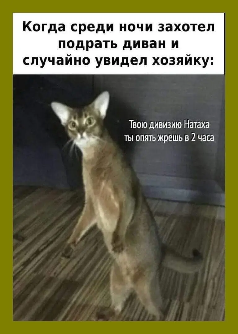 40 смешных картинок для отличного настроения