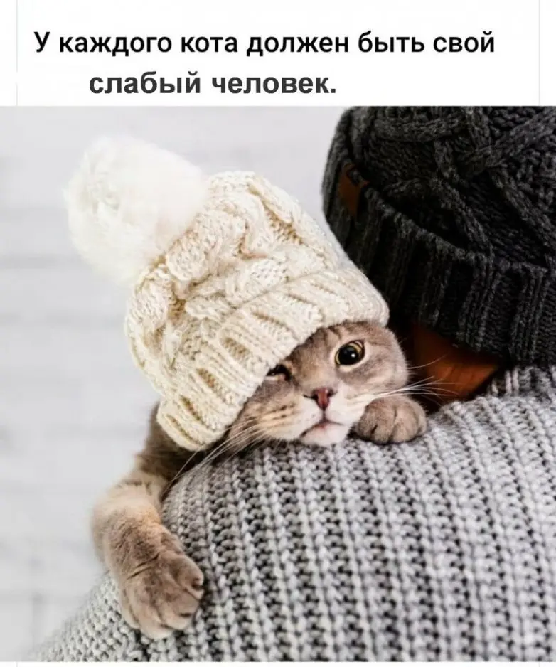 40 смешных картинок для отличного настроения