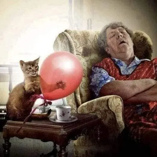 40 смешных картинок для отличного настроения