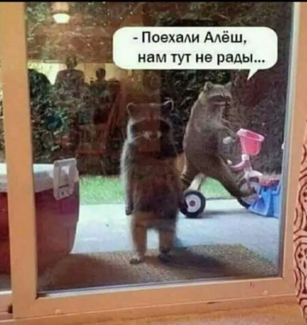 40 смешных картинок для отличного настроения