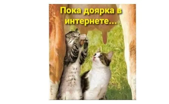 40 смешных картинок для отличного настроения