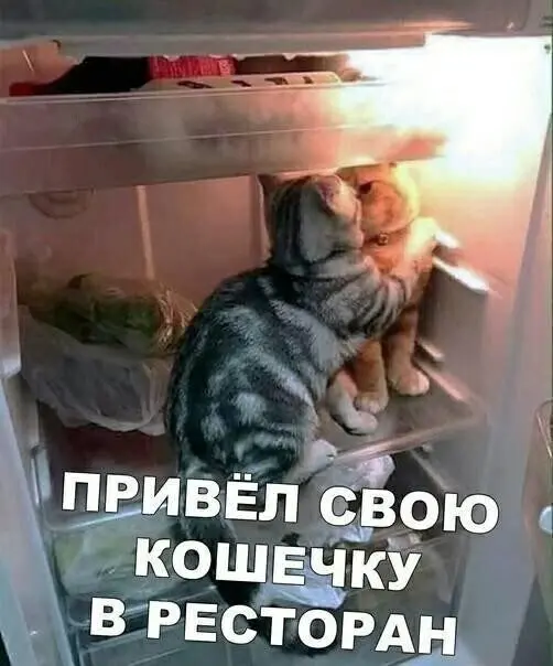 40 смешных картинок для отличного настроения