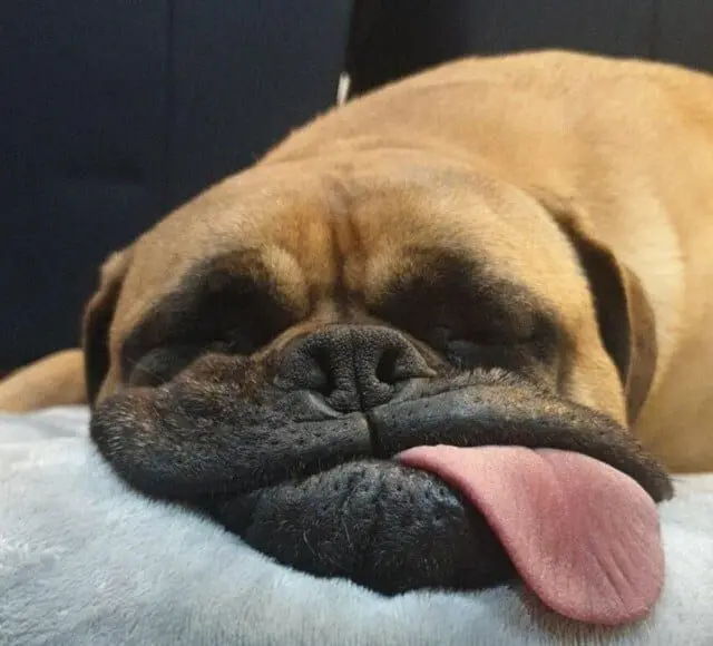 40 смешных картинок для отличного настроения