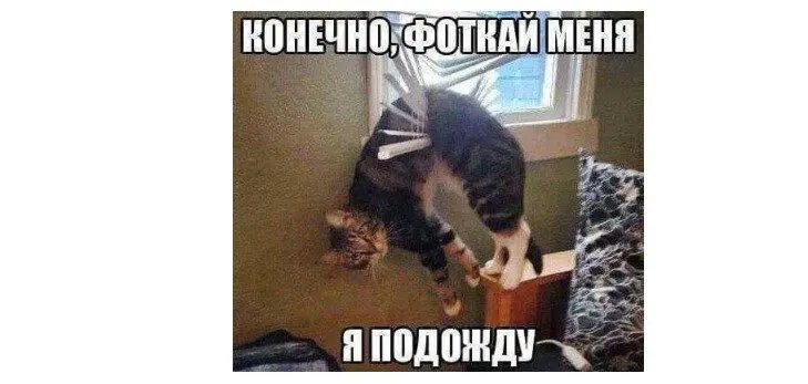 40 смешных картинок для отличного настроения