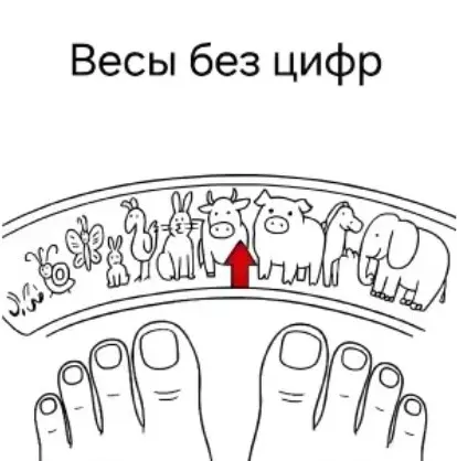 Свежая порция смеха: лучшие мемы и приколы