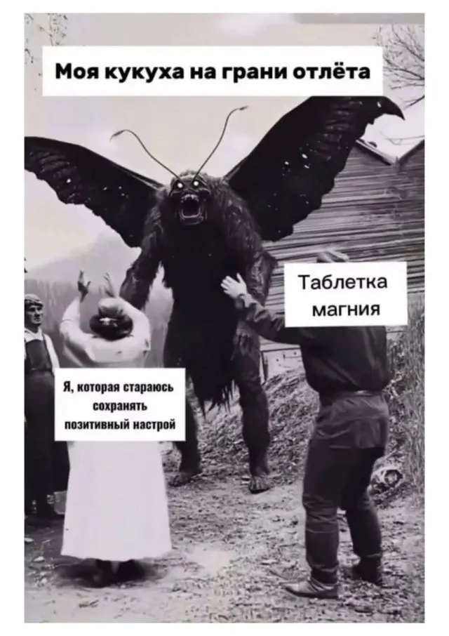 Свежая порция смеха: лучшие мемы и приколы