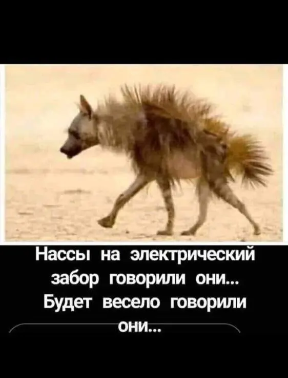 Свежая порция смеха: лучшие мемы и приколы