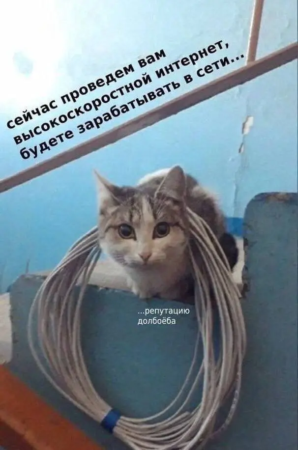 Свежая порция смеха: лучшие мемы и приколы