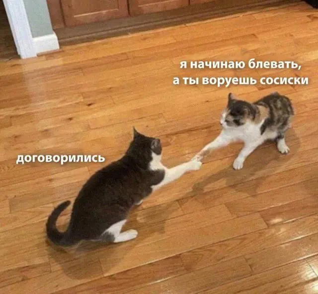 Свежая порция смеха: лучшие мемы и приколы