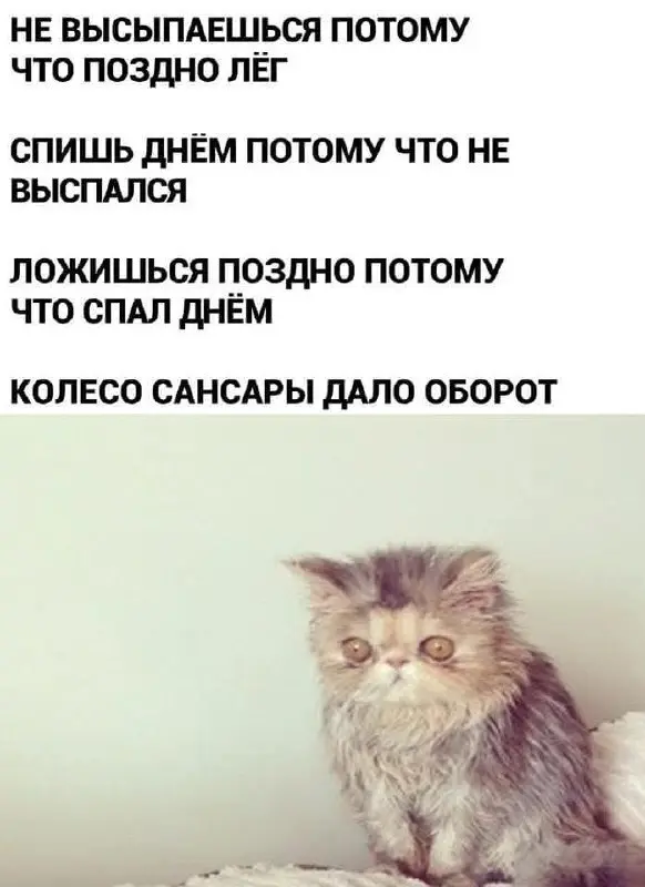 Свежая порция смеха: лучшие мемы и приколы