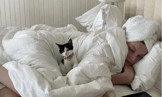 Невидимые жильцы вашей кровати: почему частая смена белья — это вопрос здоровья