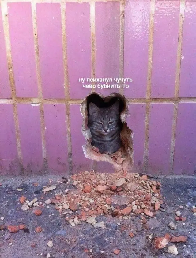 Случайные мысли в картинках