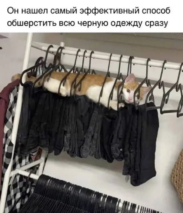 Случайные мысли в картинках