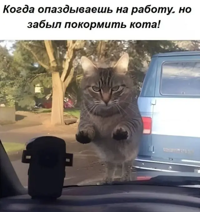 Случайные мысли в картинках