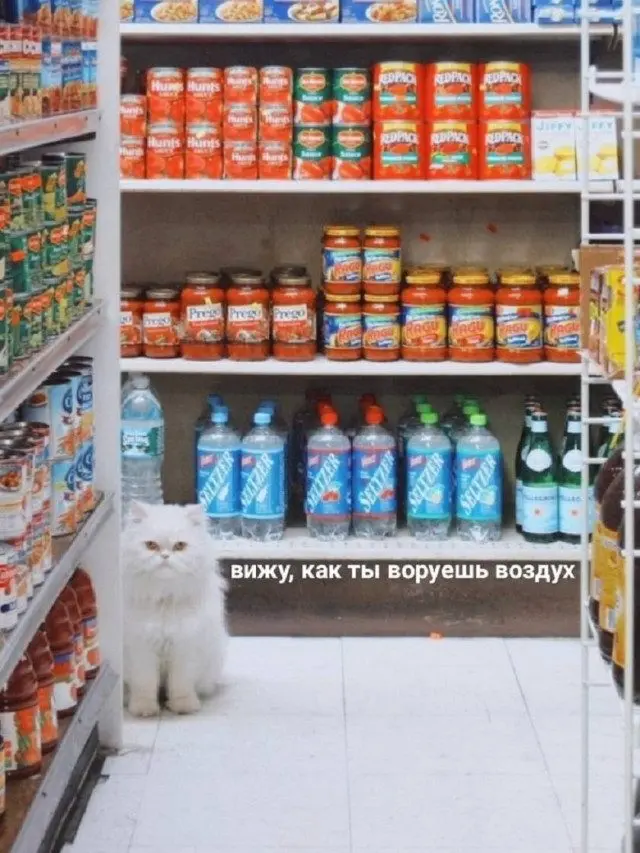 Случайные мысли в картинках