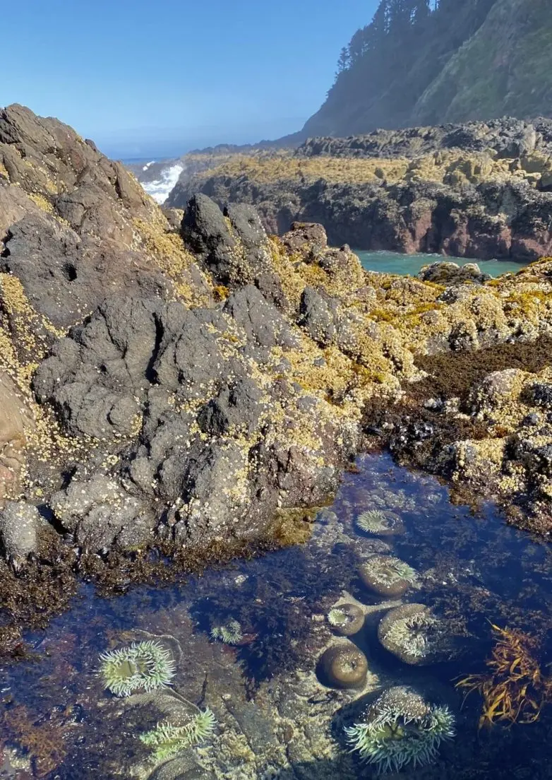 Невероятные кадры природы, в реальность которых сложно поверить